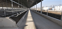 General Contracting Project of Fonterra Yutian 3 Dairy Farm